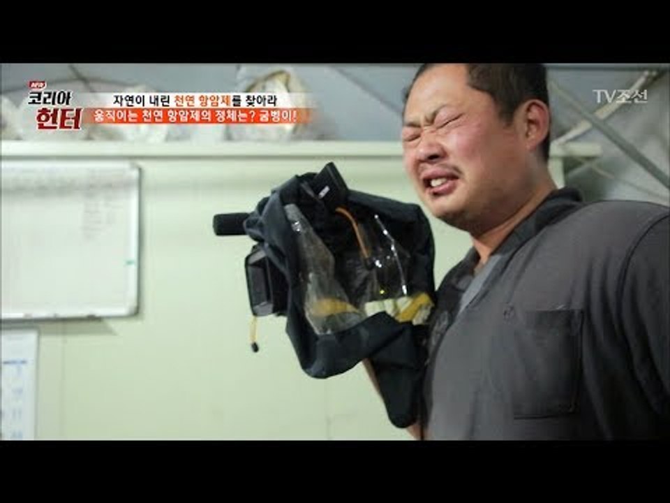 굼벵이를 먹은 제작진 ‘정말 끔찍’ [뉴 코리아 헌터] 55회 20170619