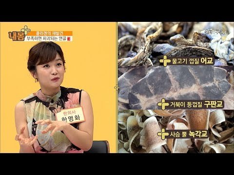 콜라겐이 부족하면 연골이 파괴된다? [내 몸 플러스] 62회 20170611