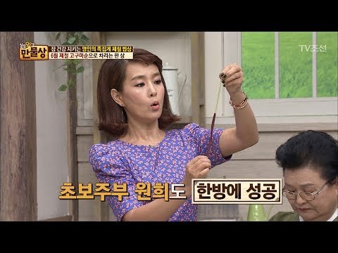 초보 주부도 쉽게 할 수 있는 ‘고구마순 손질법’ [만물상 196회] 20170611