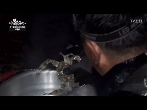 자연에서 꽃게보다 맛있는 박하지를 잡다! [자연愛산다] 11회 20170627