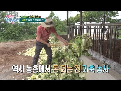 상추로 100억 원 버는 비법은? [행복한 저녁] 40회 20170612