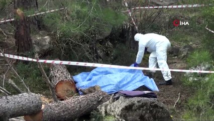 Kestiği Ağacın Altında Kalan Yaşlı Adam Hayatını Kaybetti