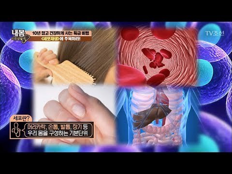젊어지는 비결은 ‘세포재생’ [내 몸 사용설명서] 158회 20170623