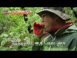 헌터들 앞에서 바로 산삼 먹어버리는 이만기 [뉴 코리아 헌터] 55회 20170619