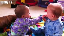 Cute Twins Baby Fighting Over ***** Funny Cute Video_2019  funny videos 0600