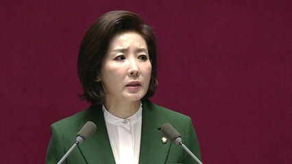 [뉴스TMI] 나경원 원내대표가 쏘아 올린 '국가원수모독죄' 논란 / YTN