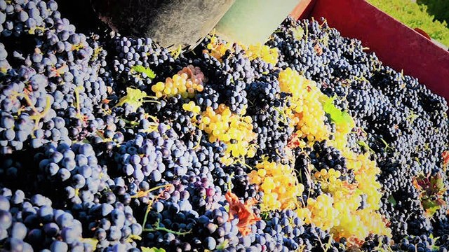 LA QUOTIDIENNE - L'INVITÉ : La Quotidienne - L'invité : Maud Blanchard 12 03 19