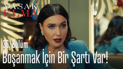 Ender'in boşanmak için şartı ne? - Yasak Elma 36. Bölüm