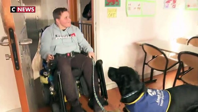 Chien d'assistance : une bénédiction pour les enfants atteints de myopathie