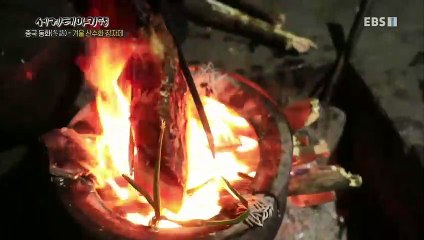 세계테마기행 - 중국 동화(冬話) 1부- 겨울 산수화 장자제_#003