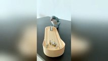 Well-trained parrot shows off incredible skills using tiny tools