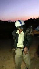 BẮT RẮN HỔ MANG CHÚA