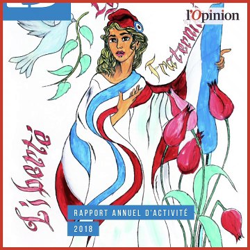 Le Défenseur des droits persiste sur l’interdiction du LBD