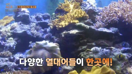 Travel The World on EXO's Ladder S2 E37