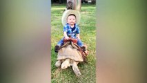 Funniest  Kids and Animals at the Zoo - Funny Kids Fails Vines_2019 funny videos 0600