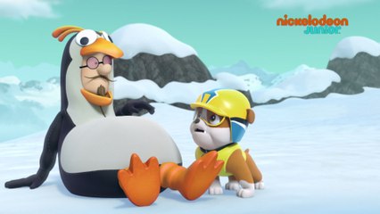 Paw Patrol : la Pat'Patrouille | Pat'Pingouins | NICKELODEON JUNIOR