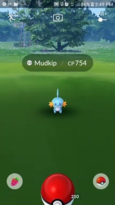 Pokémon GO Mudkip