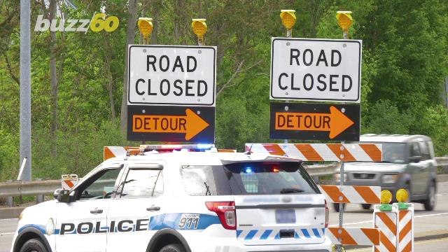 Frisky Frogs! National Recreation Area Closes Road So Amphibians Can Mate