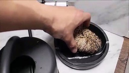 une plante desséchée reprend vie comme par miracle