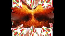 I'm not the phoenix, but i reborn from ashes! [Quotes and Poems]