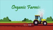 Benedict T palen Jr | Introducing Organic Farming