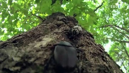 여주출장안마 -여대생！Ø7Øb7575dØØ69{문의톡CK654}여주전지역출장마사지여주출장안마'여주출장마사지황형'출장안마'ЪЫЬ'출장마사지'콜걸출장오피