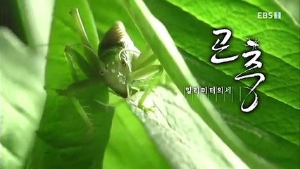 원주출장안마 -여대생！Ø7Øb5222a78Ø2【톡문의TPR828】원주전지역출장마사지원주출장안마'원주출장마사지황형'출장안마'где'출장마사지'콜걸출장오피