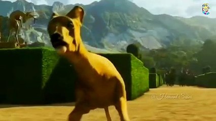 Rab Na Kare Ke Ye Zindagi