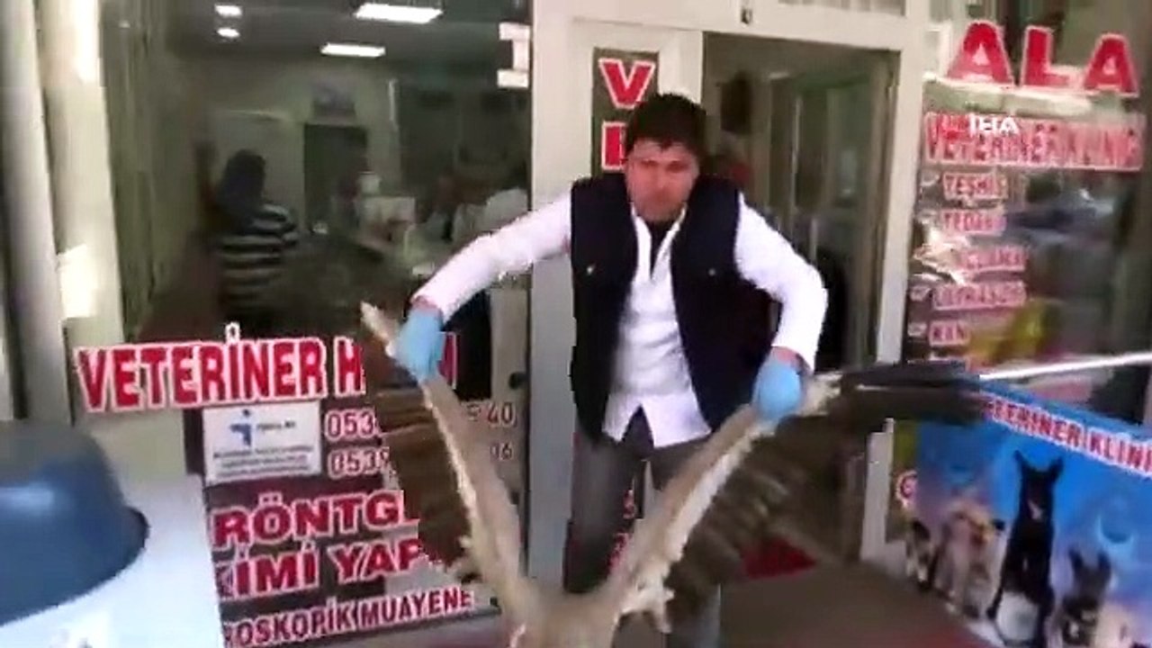 Iğdır’da Yol Kenarında Bulunan Yaralı Akbaba Tedavi Altına Alındı