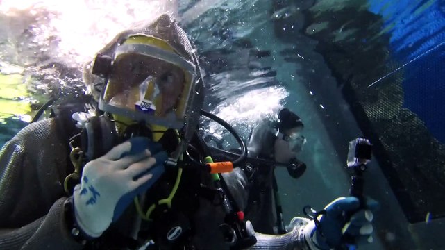 Scuba Diving Shark Reef at Mandalay Bay
