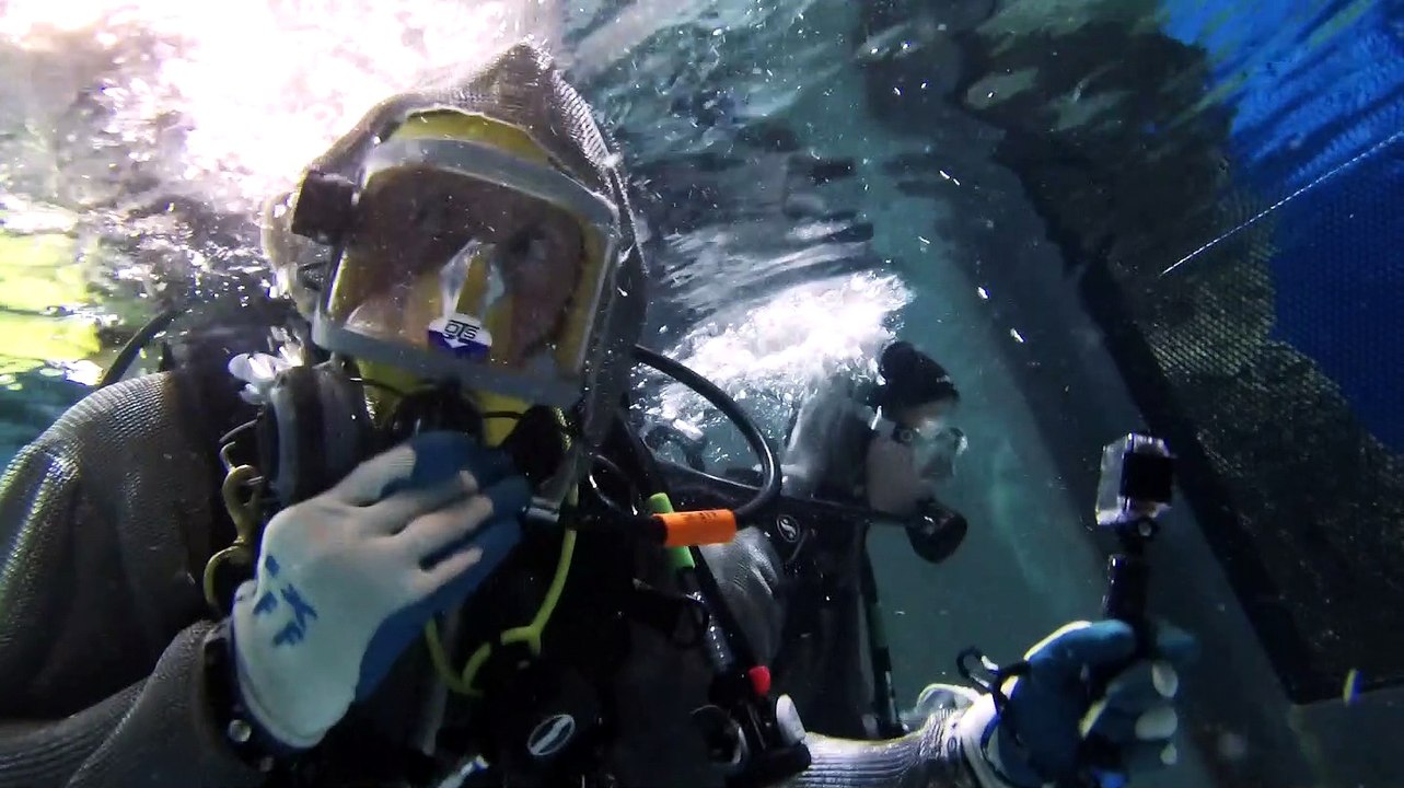 Scuba Diving Shark Reef at Mandalay Bay
