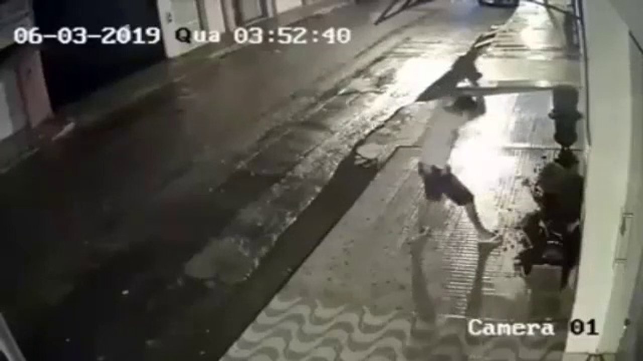 Drunk Man vs Flower Pot (FAIL)