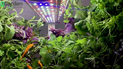 OGarden – Indoor Gardening System