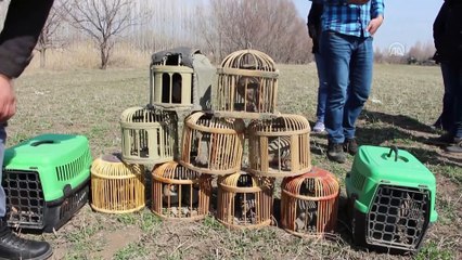 Iğdır'da ekipler kaçak avcılara göz açtırmadı