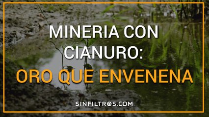 Minería con cianuro: oro que envenena | Sinfiltros.com