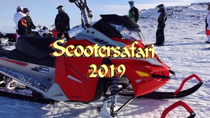 SKI-DOO 2019 HD720, Scootersafari Skogshotell, Lappland, best fun ever