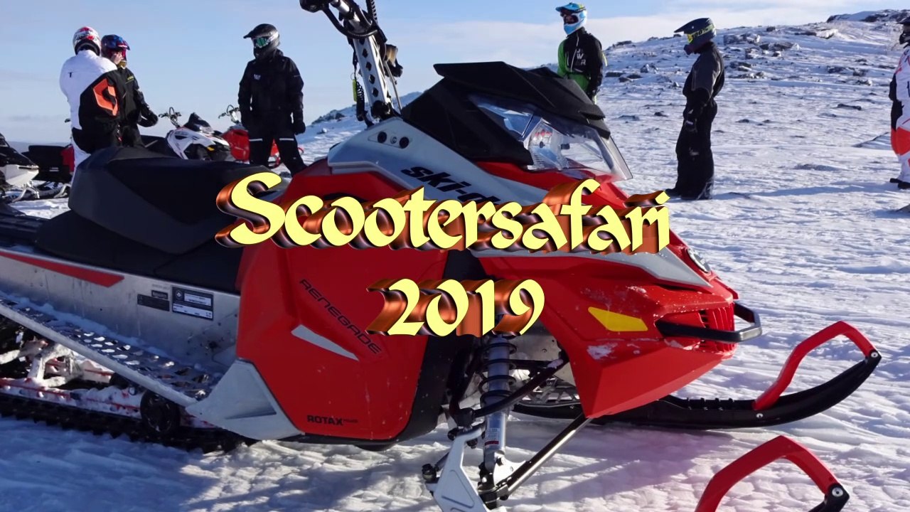 SKI-DOO 2019 HD720, Scootersafari Skogshotell, Lappland, best fun ever