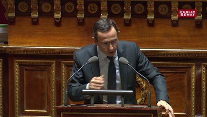 Loi anti-casseurs: prise de parole de Bruno Retailleau lors de la discussion générale