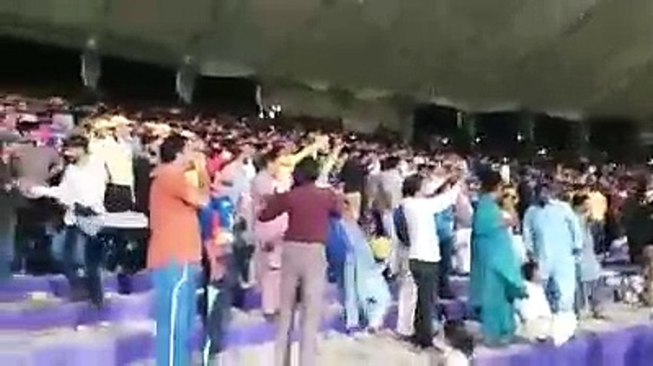 fdf (2)