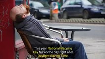 National Napping Day March 11th