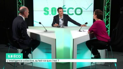 SO Eco - Pourquoi il devient urgent de développer l'intelligence collective