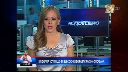 Aún no se define el voto nulo en elecciones de Participación Ciudadana