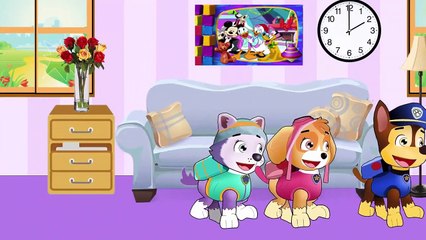 PAW PATROL Episodes English Cartoon Animation Compilation For Kids