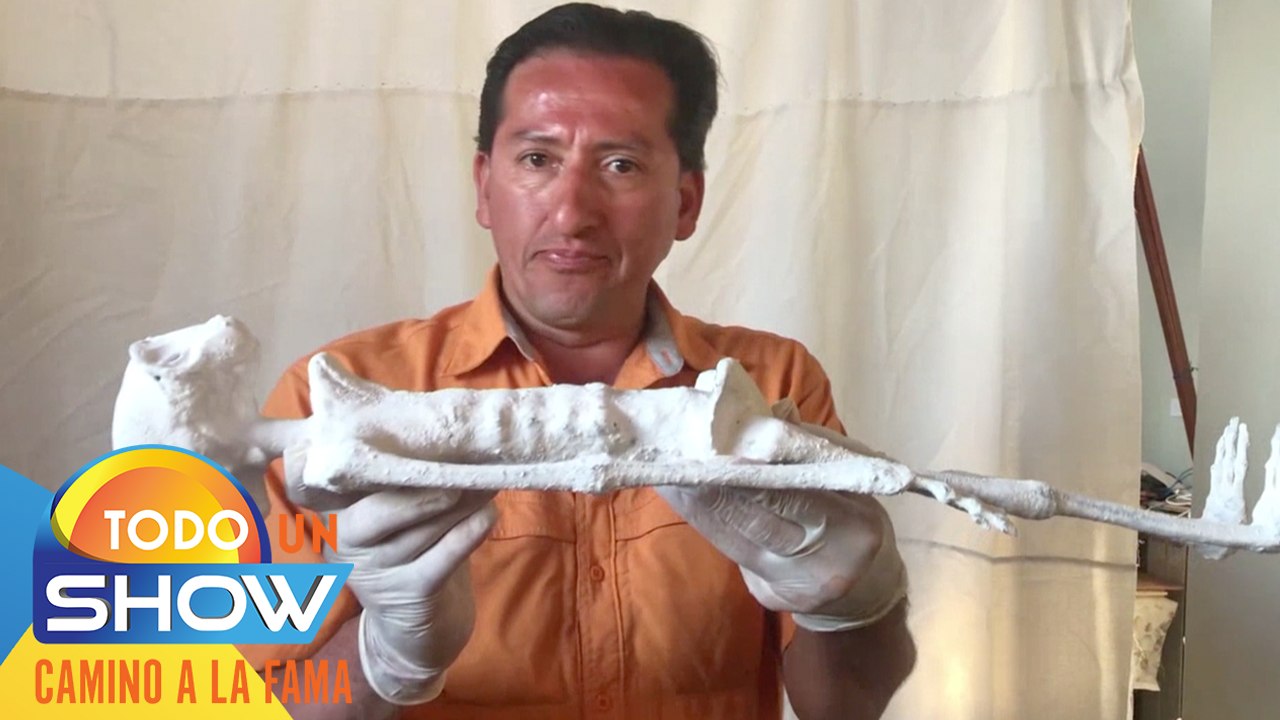 Todo Un Show | Evidencias reales de momias humanoides extraterrestres.