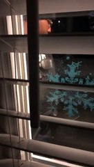 Woman Won't Open Her Door For Officer