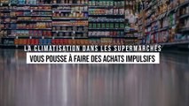 La climatisation dans les grandes surfaces vous pousse à faire des achats impulsifs