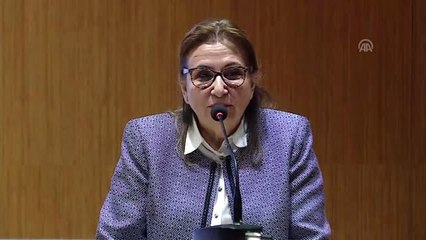 Pekcan: "Amacımız, Türkiye'yi Yüksek Gelirli Ülkeler Seviyesine Taşıyabilmek" - Bolu