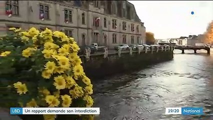 LBD : le rapport du défenseur des droits demande son interdiction