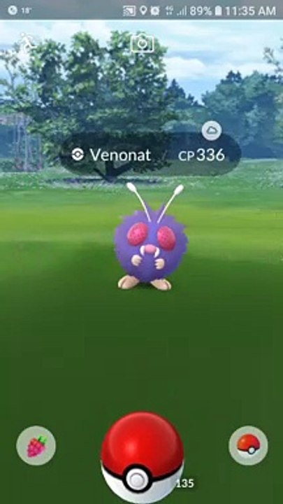 Pokémon GO Venonat