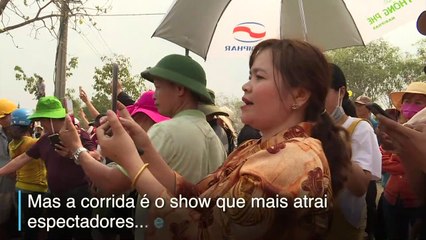 Diversão ou crueldade?